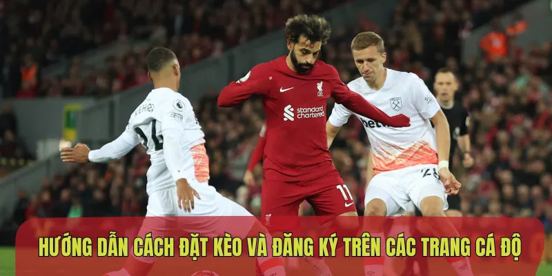 Hướng dẫn cách đặt kèo và đăng ký trên các trang cá độ