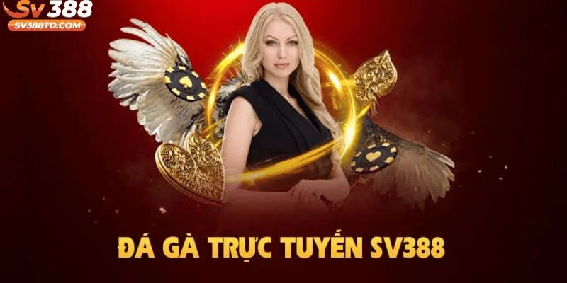 Sân chơi SV388 có gì đặc biệt