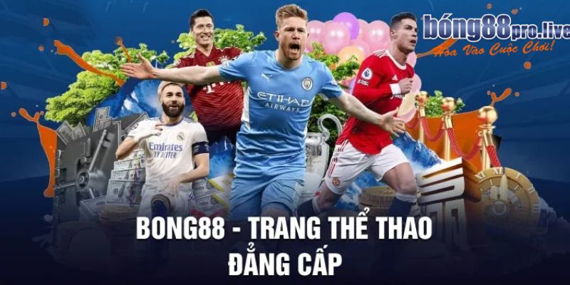 Cam kết từ trang bong88