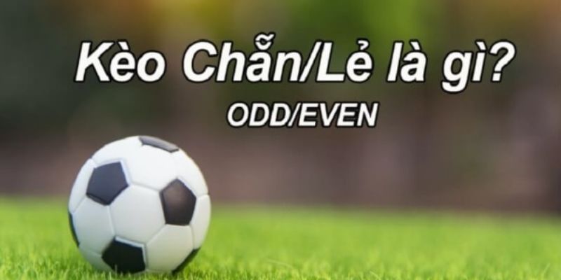 Kèo lẻ chẵn và những loại kèo khác