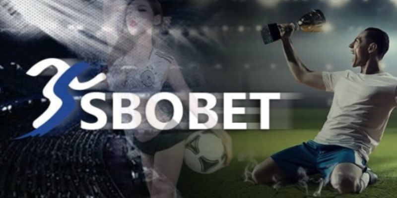 Điểm nổi bật của Sbobet