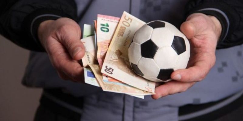 Những thành tựu nổi bật của tác giả